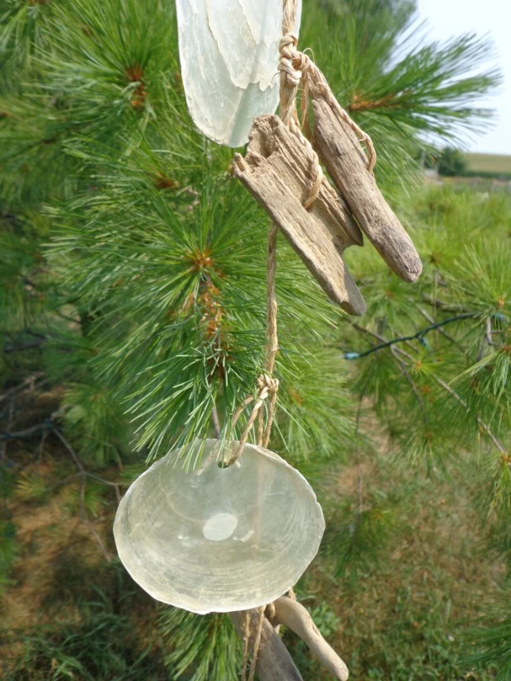 NEW! Shell Wind Chime Driftwood/Capiz Sea Shells 51